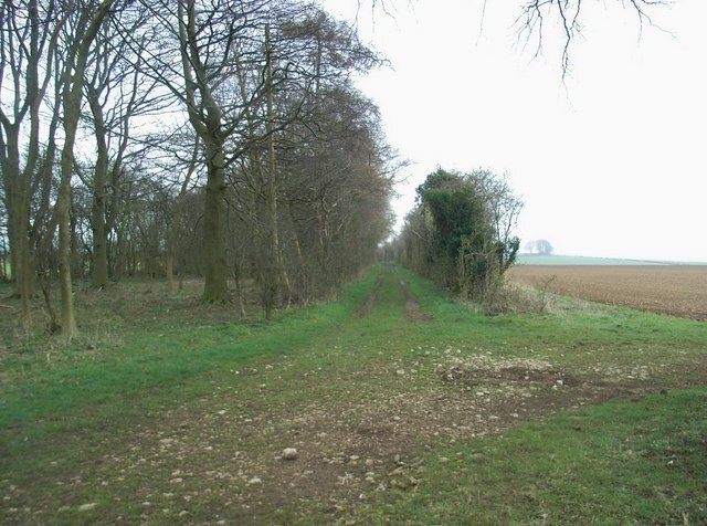 Kuva ”Barrington” käyttäjältä David Luther Thomas (CC BY-SA) / rajattu alkuperäisestä kuvasta