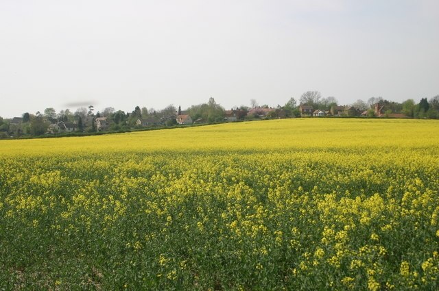 Billede "Chearsley" af Shaun Ferguson (CC BY-SA) / beskåret fra det originale billede
