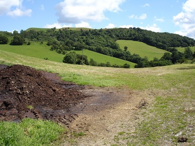 Pasture near Cefn du uchaf