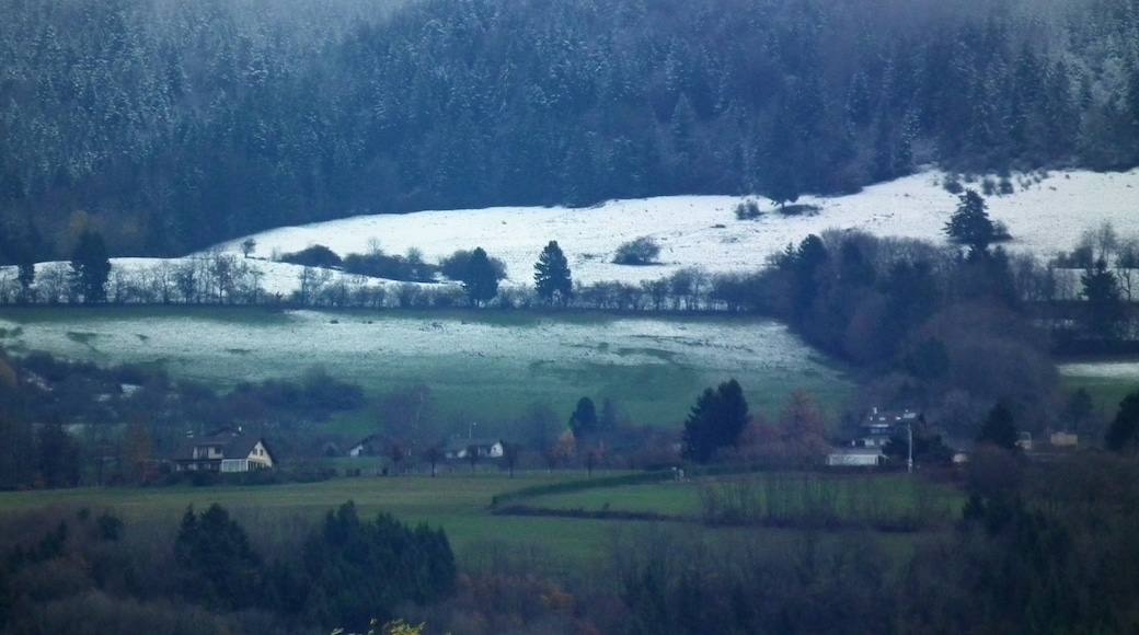 Annemasse, Haute-Savoie (megye), Franciaország