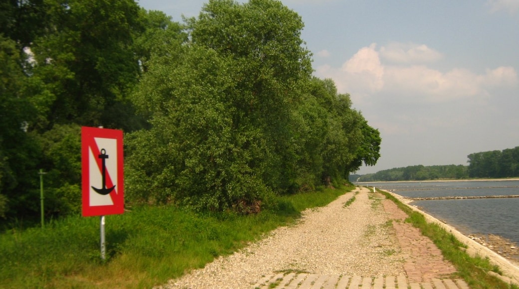 Photo "Neuburg am Rhein" by mroszewski (CC BY-SA) / Cropped from original