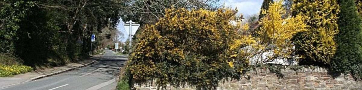 Photo "Playing Place. Looking down Old Coach Road at the junction with Holywell Road. Playing Place is a dormitory suburb of Truro composed mainly of 20th century detached houses and bungalows. The name "Playing Place" denotes a place where people used to meet for performances of Mystery Plays and the like." by Tony Atkin (Creative Commons Attribution-Share Alike 2.0) / Cropped from original