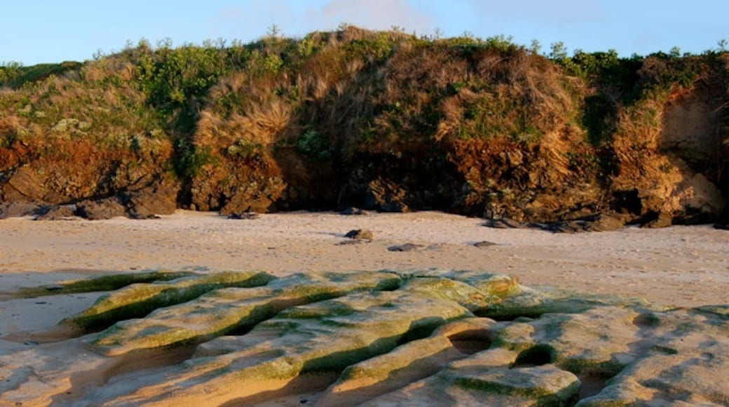 Foto „Harlyn Bay Beach“ von Andy F (CC BY-SA)/zugeschnittenes Original