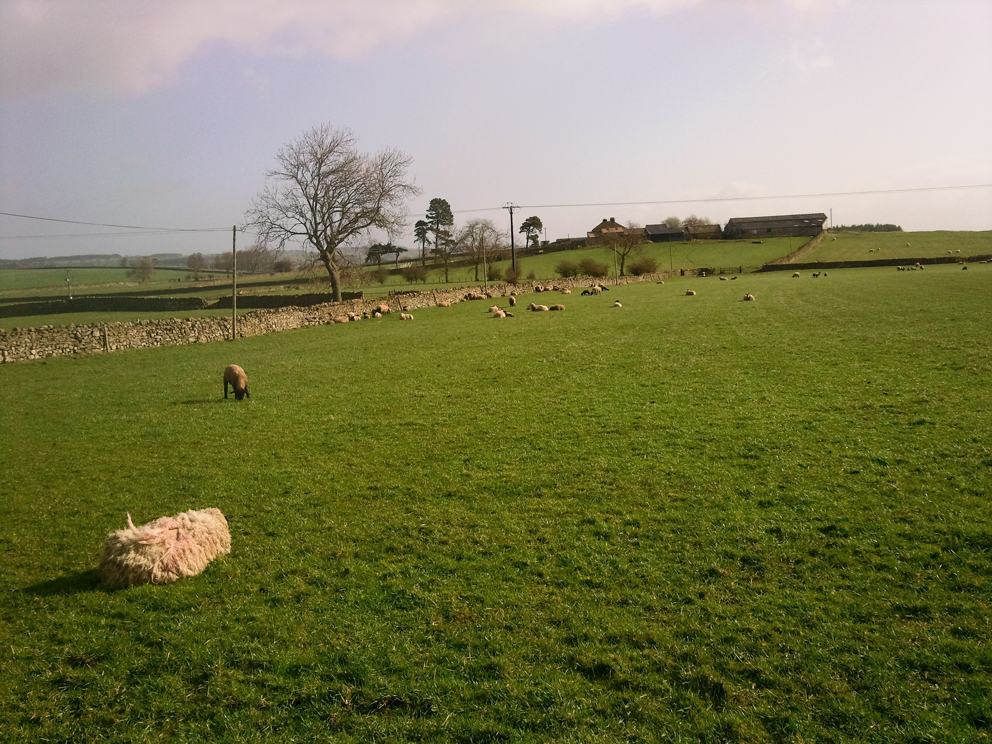 Photo "Harmby" by jim walton (CC BY) / Cropped from original