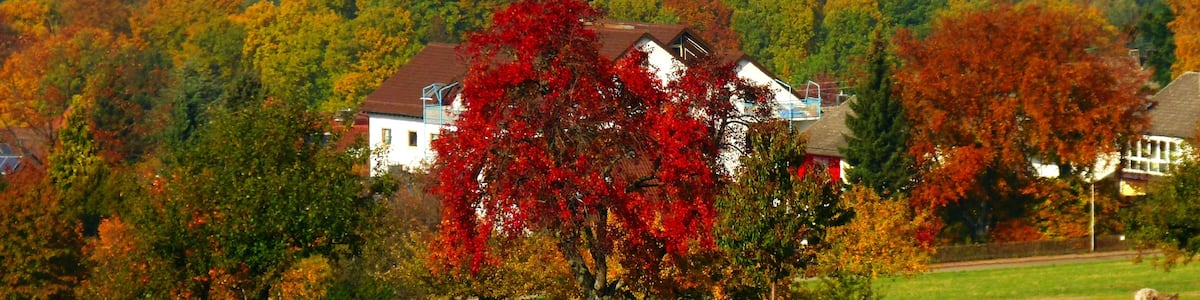 Photo "Red" by Dg-505 (Creative Commons Attribution 3.0) / Cropped from original
