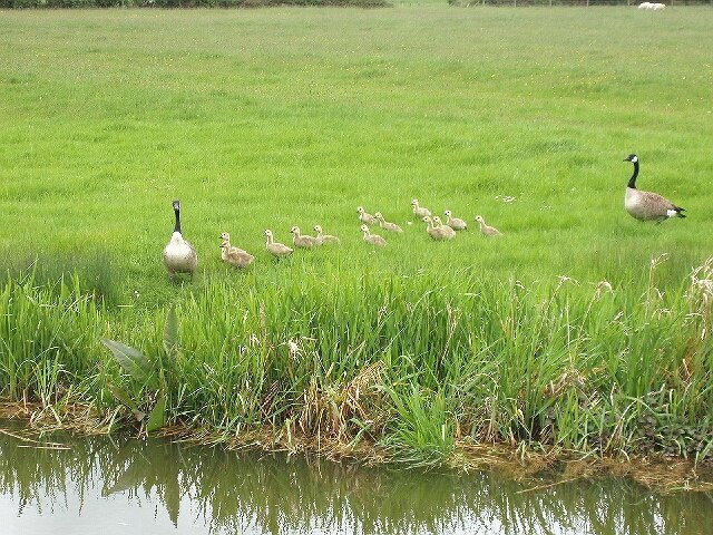 Photo "Broughton Hamlet" by David Hawgood (CC BY-SA) / Cropped from original