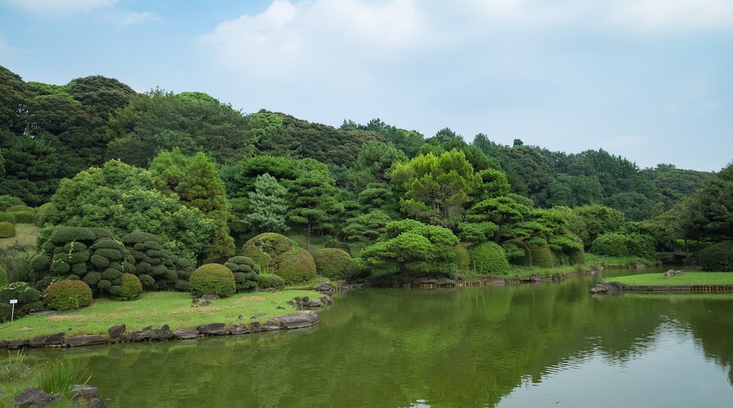 ภาพ "Koishikawa Botanical Garden" โดย Anagounagi (page does not exist) (CC BY-SA) / ตัดภาพจากขนาดต้นฉบับ