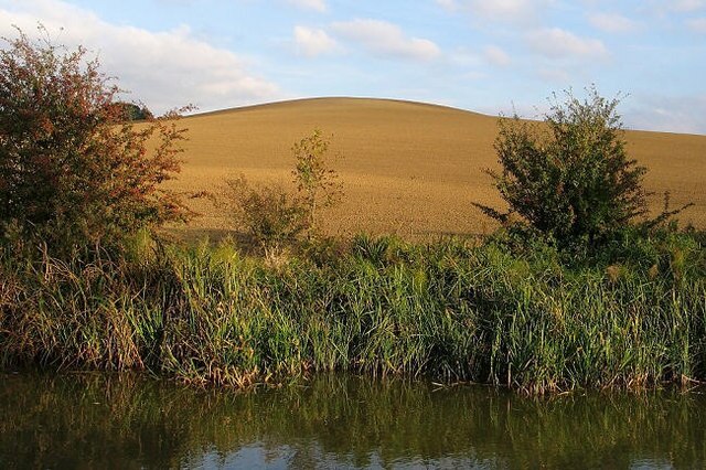 Foto „Stanford“ von Tim (CC BY-SA)/zugeschnittenes Original