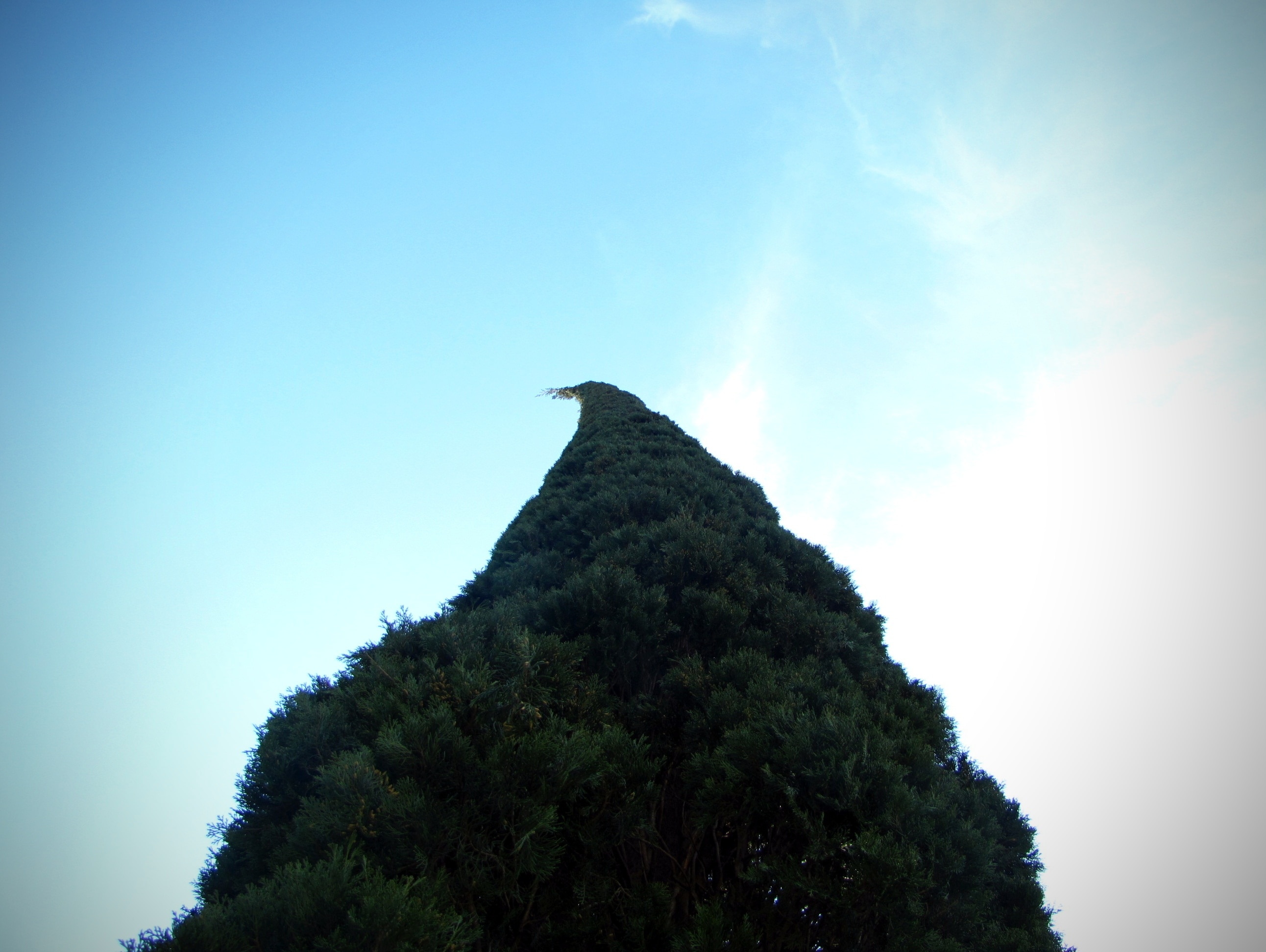 « Vipava», photo de Ondrej Pospisil (CC BY-SA) / rognée de l’originale