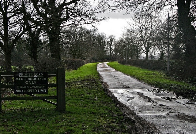 Photo "Wing" by Richard Thomas (CC BY-SA) / Cropped from original