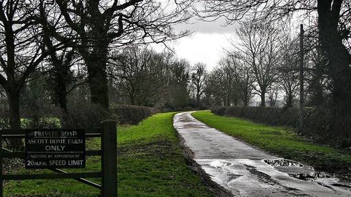 Photo "Wing" by Richard Thomas (CC BY-SA) / Cropped from original