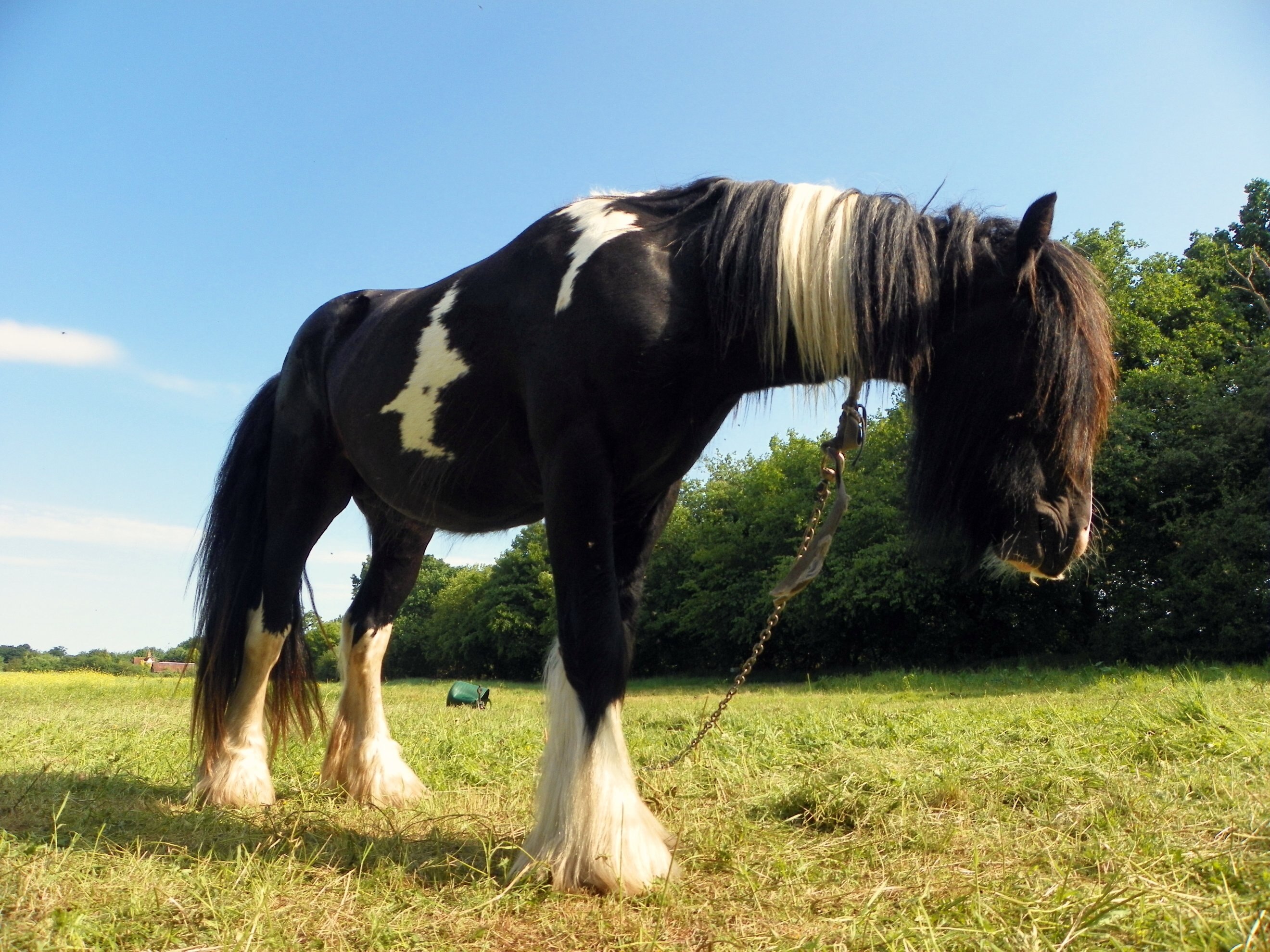 Photo "Langley" by AnemoneProjectors (CC BY-SA) / Cropped from original