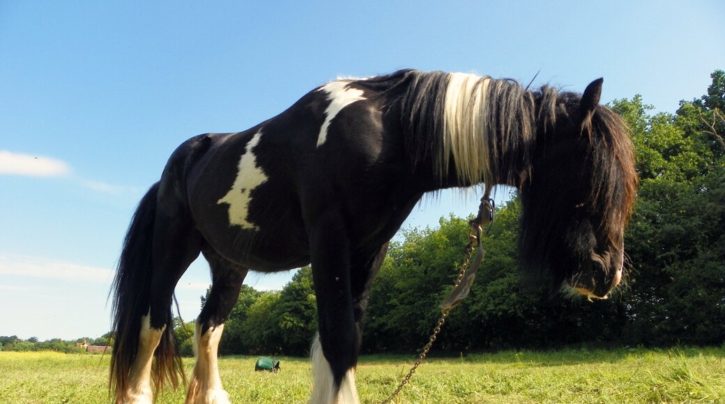 Photo "Langley" by AnemoneProjectors (CC BY-SA) / Cropped from original