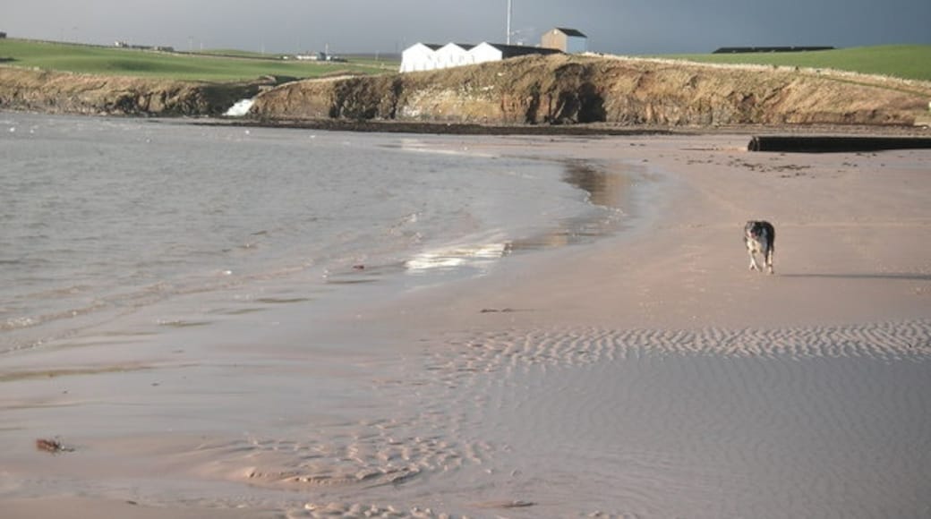 Photo "Scapa Beach" by John Ireland (CC BY-SA) / Cropped from original