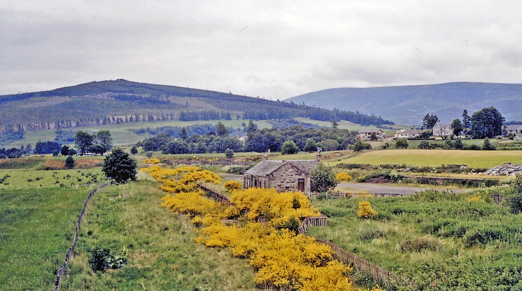 Photo "Cromdale" by Ben Brooksbank (CC BY-SA) / Cropped from original