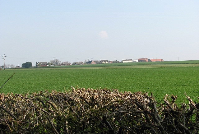 Photo "Morley" by Evelyn Simak (CC BY-SA) / Cropped from original