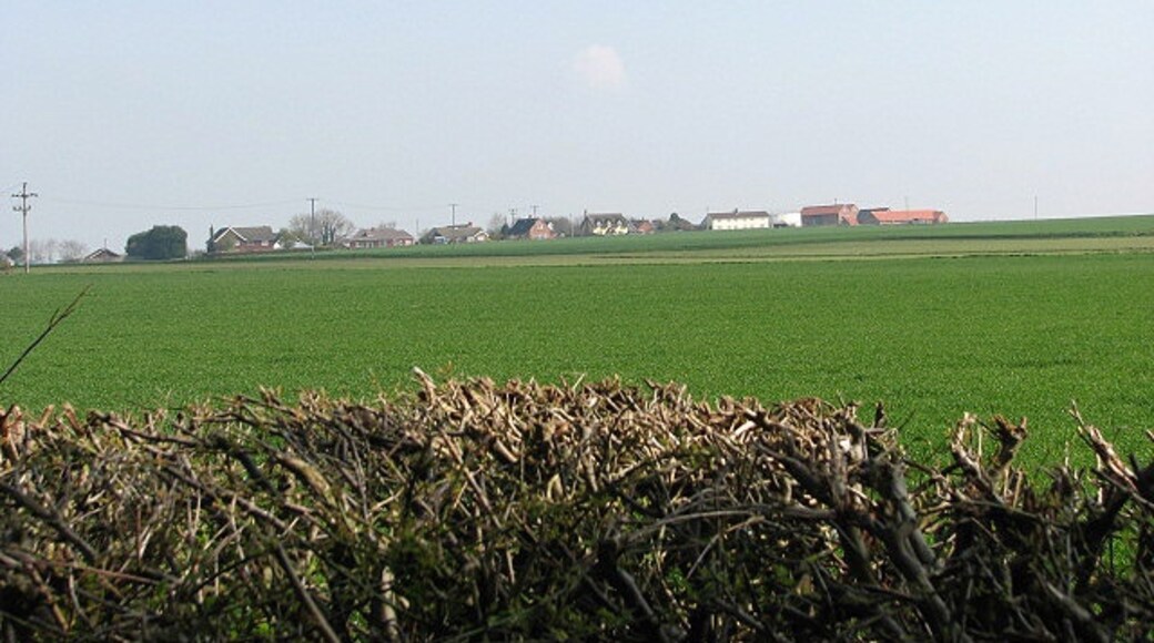 Billede "Morley" af Evelyn Simak (CC BY-SA) / beskåret fra det originale billede