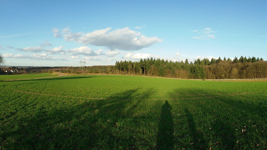 Photo "Blick zum Überherrner Wald" by Whereismymind (Creative Commons Attribution 3.0) / Cropped from original