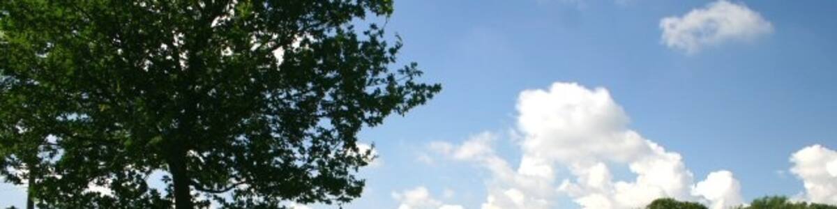 Photo "East Lexham play area For such a small village, it's a pleasure to see that the children have been well catered for." by Bob Jones (Creative Commons Attribution-Share Alike 2.0) / Cropped from original