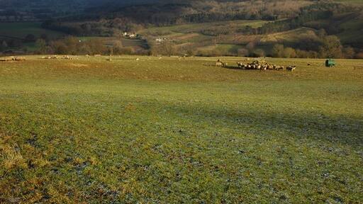 Photo "Stanway" by Philip Halling (CC BY-SA) / Cropped from original