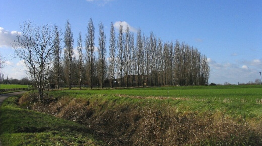 Kuva ”High Easter” käyttäjältä John Winfield (CC BY-SA) / rajattu alkuperäisestä kuvasta