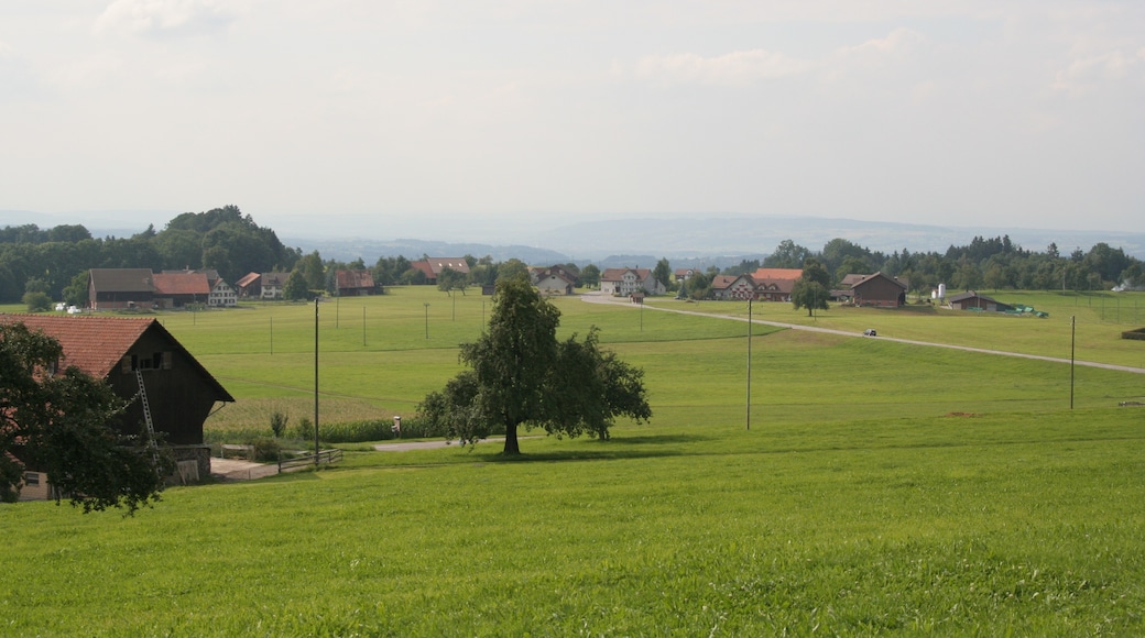 « Waldkirch», photo de Ikiwaner (CC BY-SA) / rognée de l’originale
