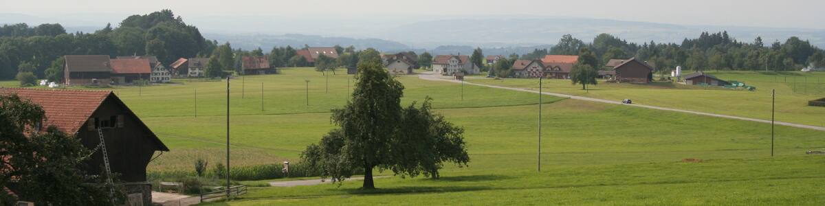 Photo "Der Weiler Niederwil in Waldkirch, Schweiz" by Ikiwaner (Creative Commons Attribution-Share Alike 3.0) / Cropped from original