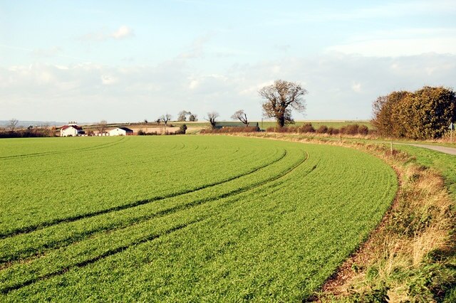 On the Middlegate Road. Photo taken on the Middlegate East of Worlaby.