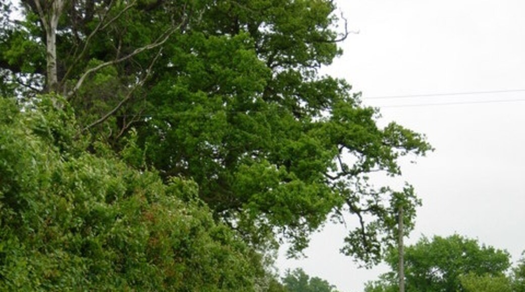 Foto "Knodishall" por Stephen McKay (CC BY-SA) / Recortada de la original