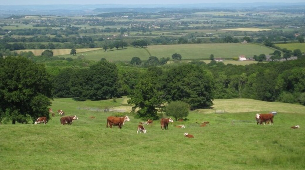 Foto "Buckland St Mary" de Sarah Smith (CC BY-SA) / Recortada do original