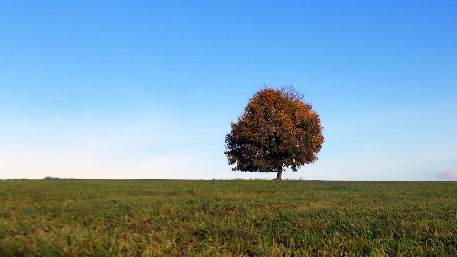 2017-10-24 Rammenau am Tanneberg