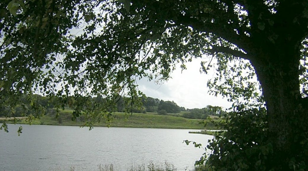 Photo "Dams to Darnley Country Park" by Iain Thompson (CC BY-SA) / Cropped from original