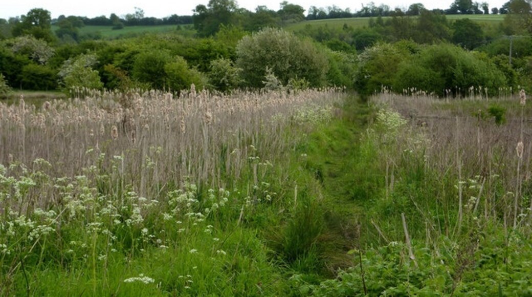 Photo "Tuddenham St Martin" by Andrew Hill (CC BY-SA) / Cropped from original