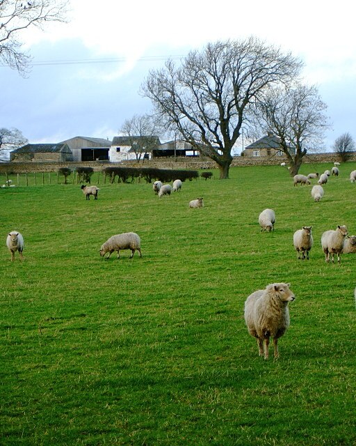 Photo "Marwood" by Andy Waddington (CC BY-SA) / Cropped from original