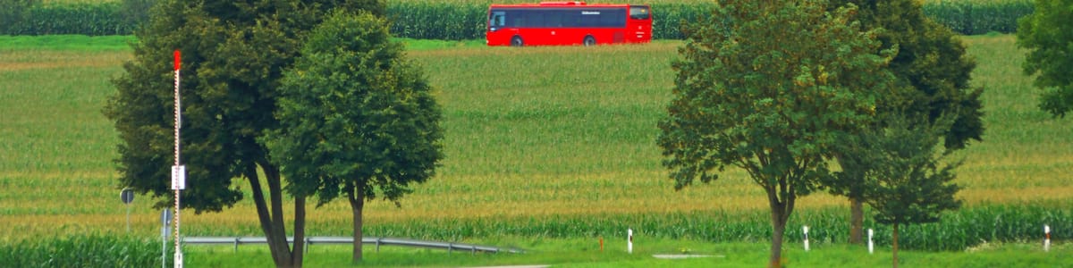 Photo "The Red Bus" by Dg-505 (Creative Commons Attribution 3.0) / Cropped from original