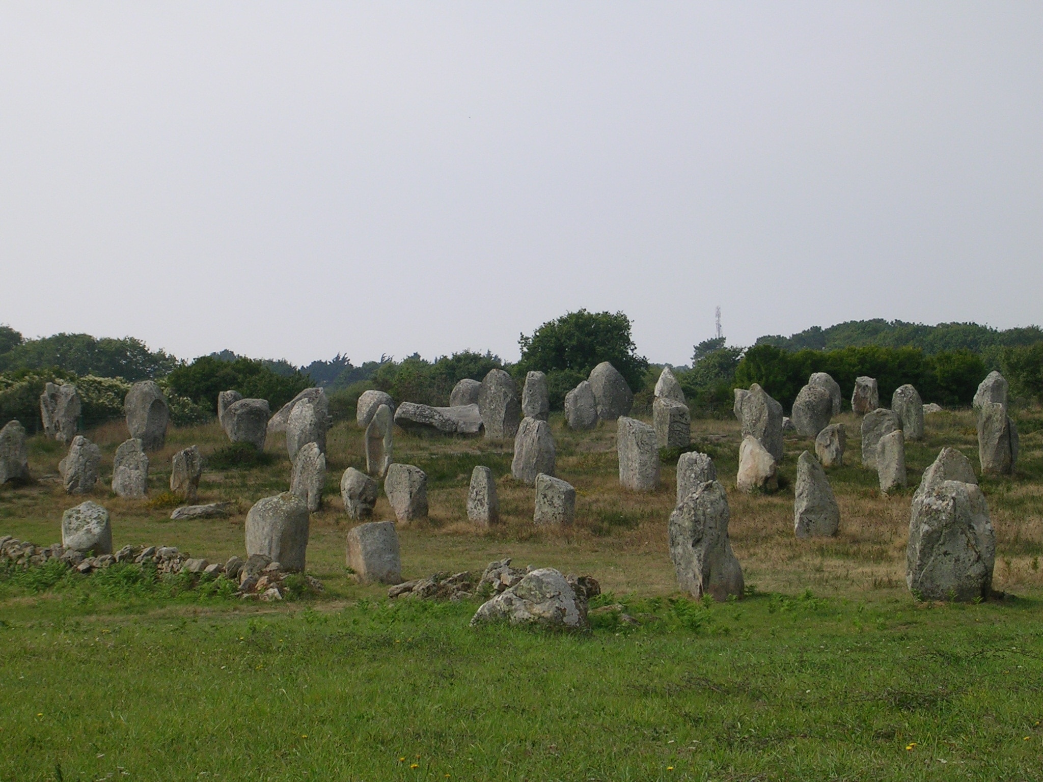 Billede "Ménec Stenrækker" af Michael Kranewitter (CC BY-SA) / beskåret fra det originale billede