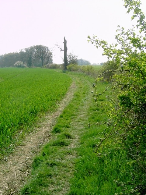 Track & Hedge at Stanford Bury