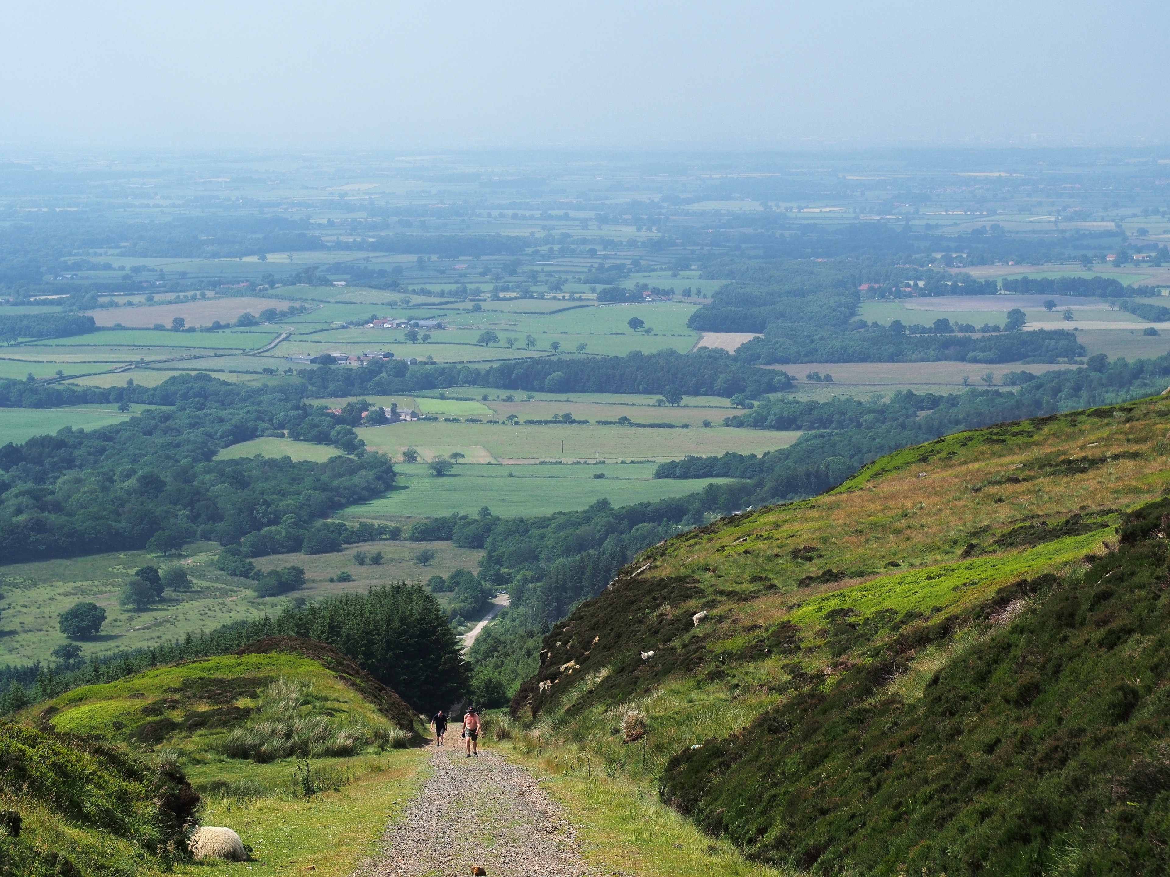 Foto “Ingleby Greenhow” tomada por Kreuzschnabel (CC BY-SA); recorte de la original