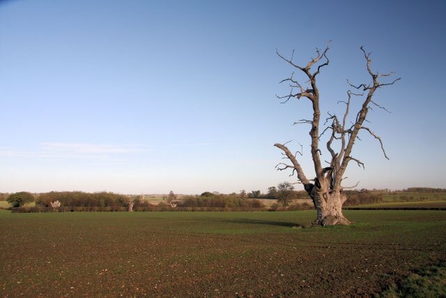 Foto "Hunston" de Bob Jones (CC BY-SA) / Recortada do original