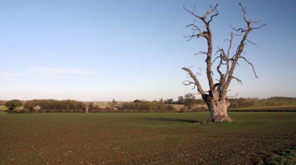 Foto "Hunston" de Bob Jones (CC BY-SA) / Recortada do original