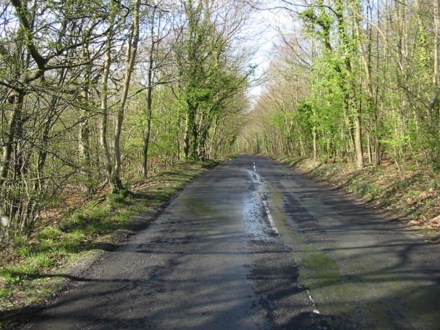 Dargate Road passing through Blean Wood