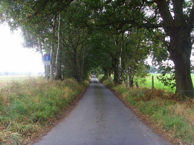 "Child's Ercall"-foto av A Holmes (CC BY-SA) / Urklipp från original