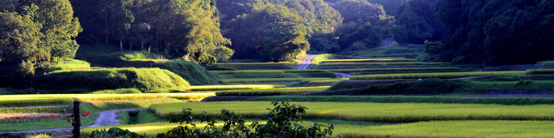 Nankan, Kumamoto (prefeitura), Japão