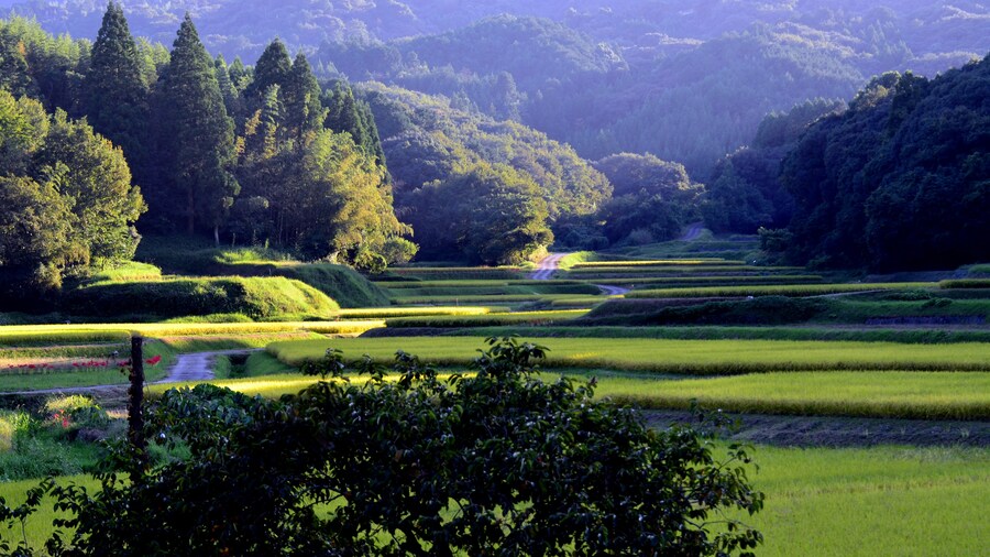 Photo "Yotsubaru countryside" by Yuji Sakamoto (Creative Commons Attribution-Share Alike 3.0) / Cropped from original
