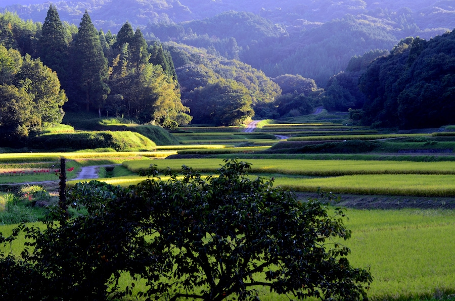 Yotsubaru countryside