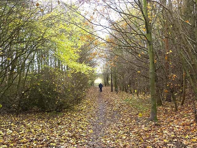 Reiver's Cycle Route at Seaton Burn