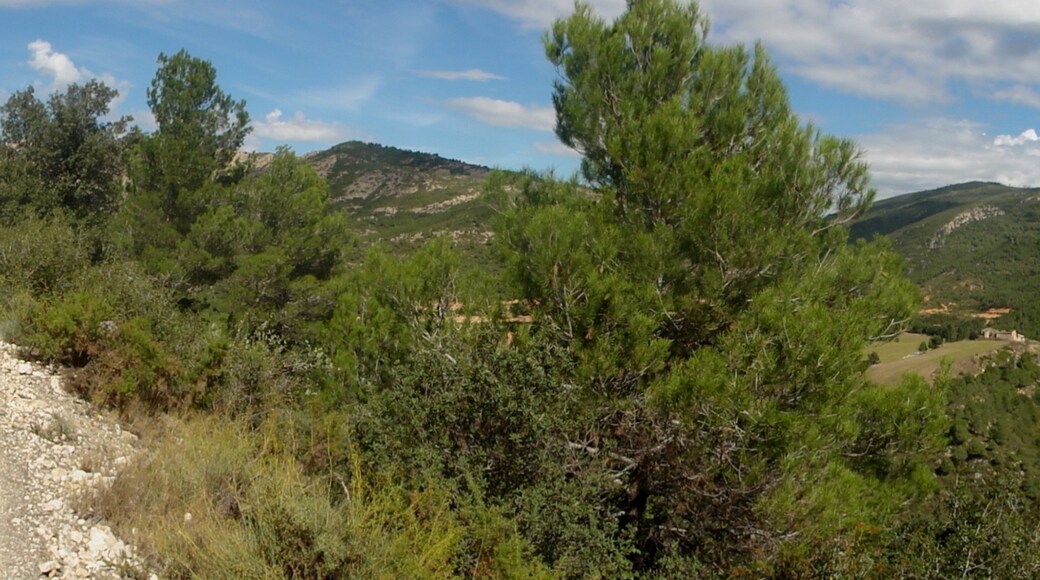 Cabra del Camp, Catalonia, Spain