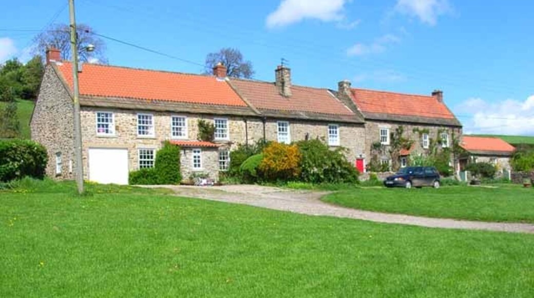 Photo "Barden" by Oliver Dixon (CC BY-SA) / Cropped from original