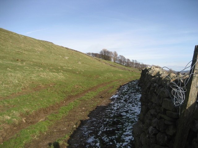 Billede "Low Abbotside" af Chris Heaton (CC BY-SA) / beskåret fra det originale billede