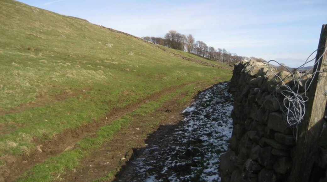 Billede "Low Abbotside" af Chris Heaton (CC BY-SA) / beskåret fra det originale billede